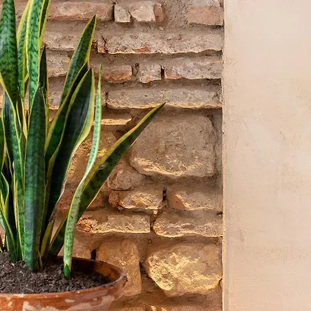 Zari Apartment Córdoba