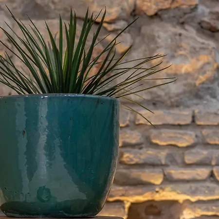 公寓 Zari 科爾多瓦