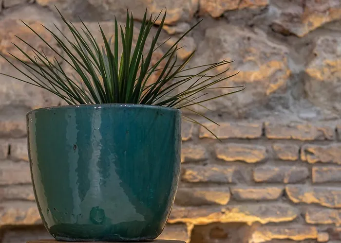 Apartamento Zarí Córdova