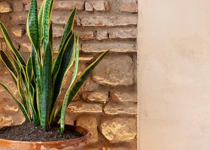 Zarí Apartamento Córdova