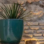 Apartment Zari Córdoba